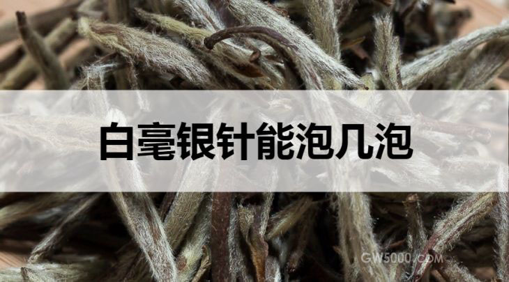 白毫银针能泡几泡？