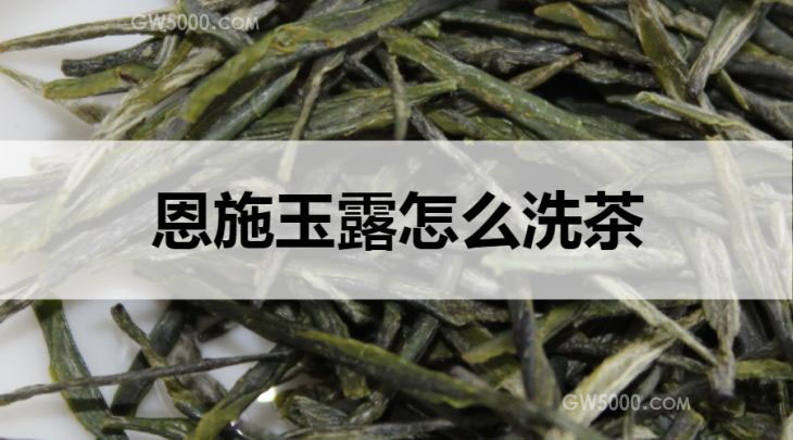 恩施玉露怎么洗茶？