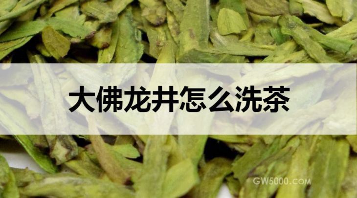 大佛龙井怎么洗茶？