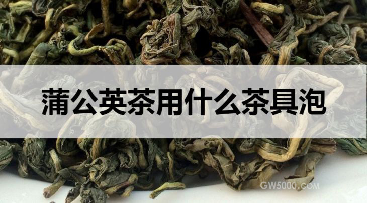 蒲公英茶用什么茶具泡？