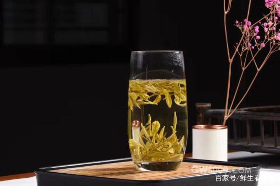 黄金芽是什么茶？