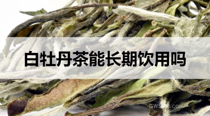 白牡丹茶可以长期饮用吗？