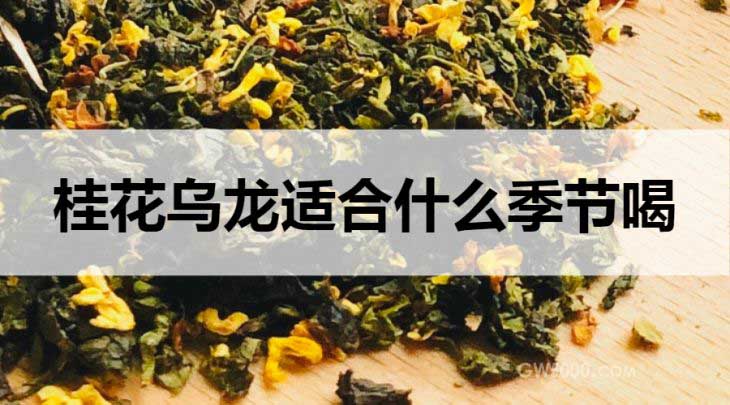 什么季节适合饮用桂花乌龙茶？