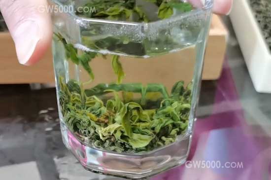 云雾茶属于什么茶？（绿茶）