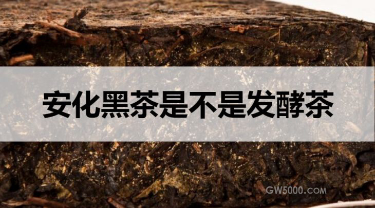 安化黑茶是不是发酵茶？