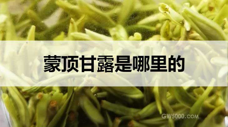 蒙顶甘露是什么茶？