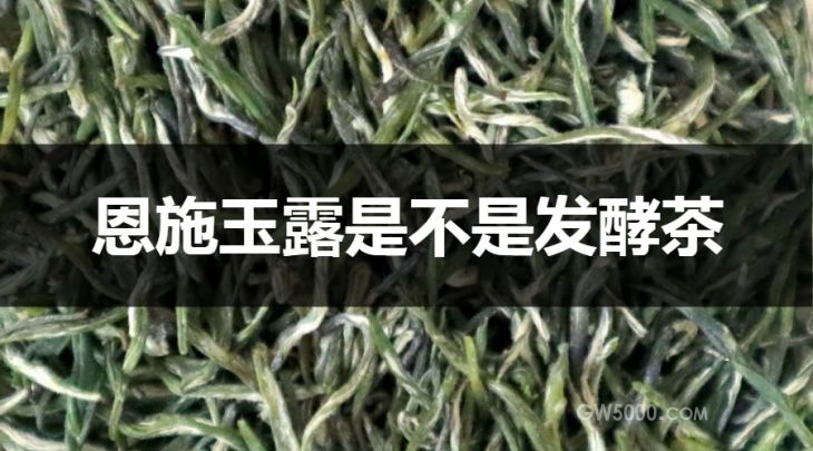 恩施玉露是不是发酵茶？