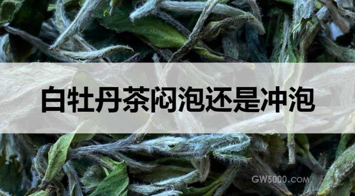 白牡丹茶闷泡还是冲泡？