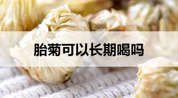 胎菊可以长期喝吗？