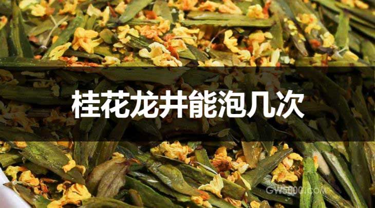 桂花龙井能冲泡几次？