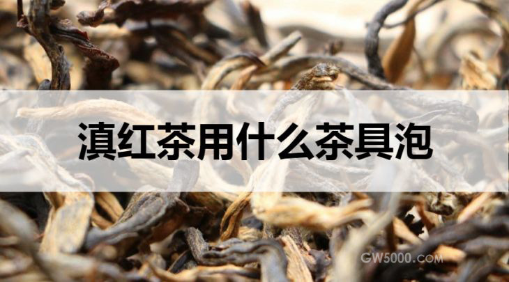 滇红茶适合什么茶具泡？