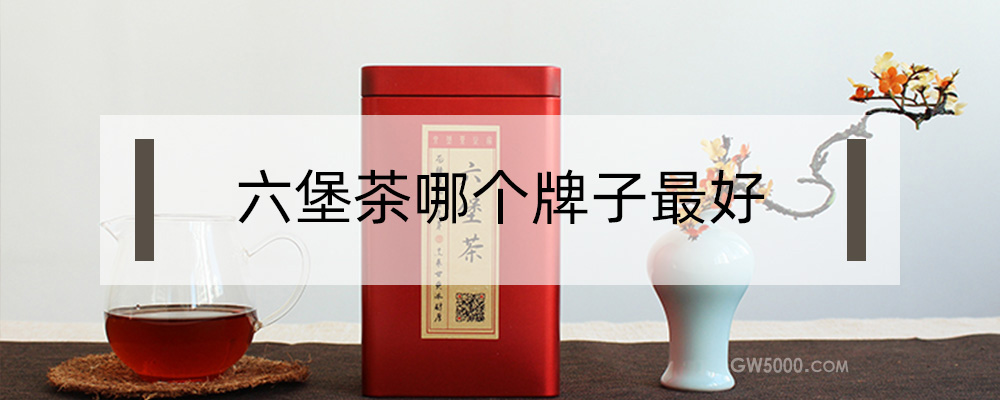 六堡茶哪个牌子好？