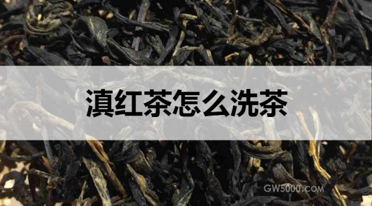 滇红茶怎么洗茶？