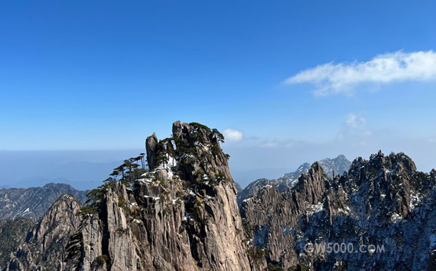 黄山毛峰和信阳毛尖哪个好喝？看五大不同点