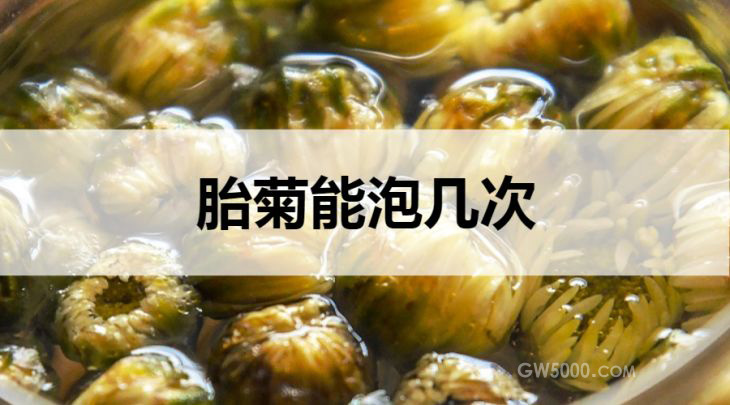 胎菊能泡几次？