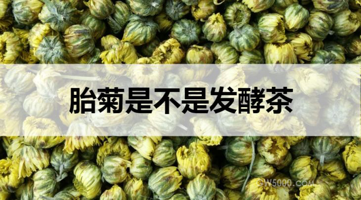 胎菊是不是发酵茶？