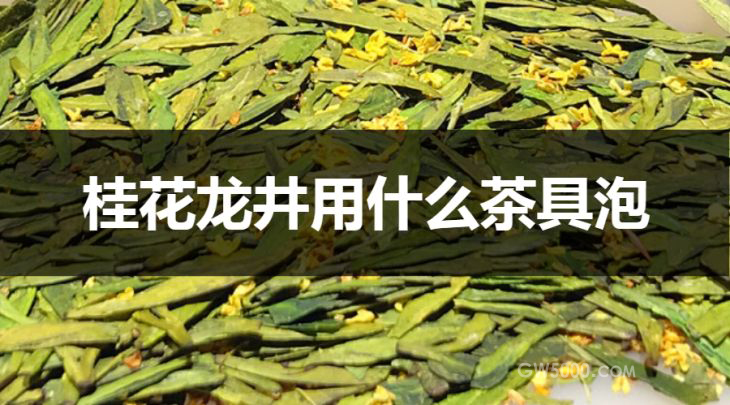 桂花龙井用什么茶具泡？