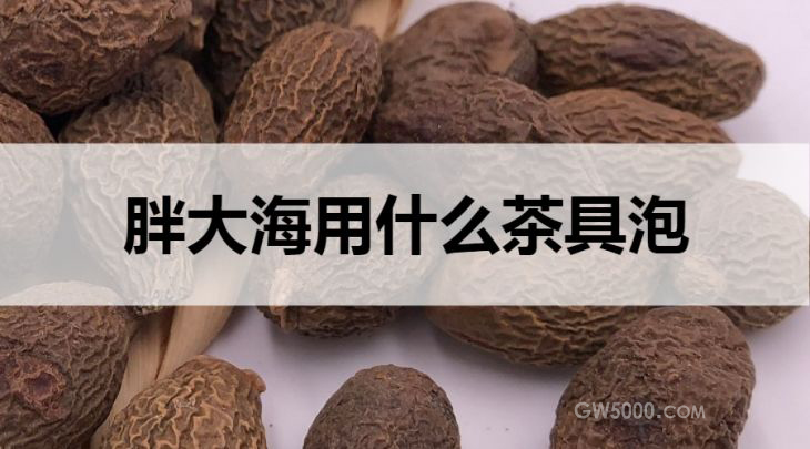 胖大海茶用什么茶具泡？