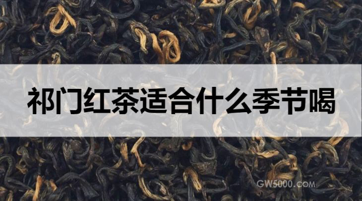 祁门红茶适合什么季节饮用？