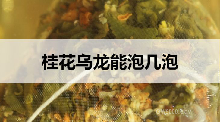 桂花乌龙能泡几泡？