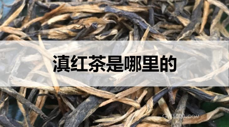 滇红茶是哪里的？