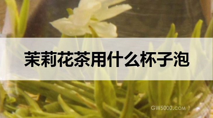 茉莉花茶用什么杯子泡？