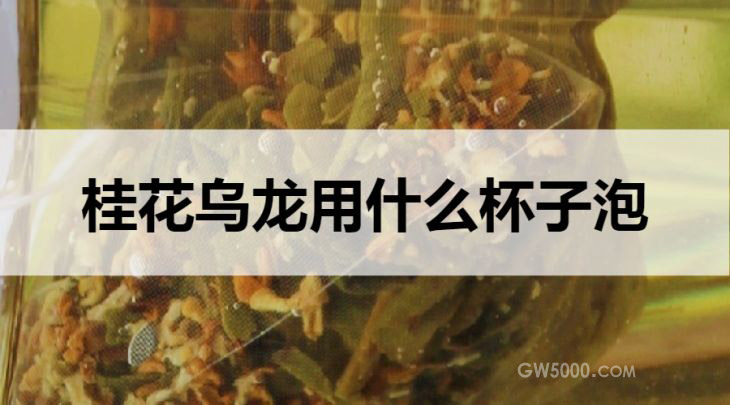 桂花乌龙茶用什么杯子泡？