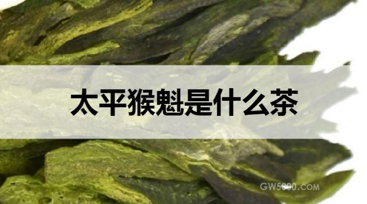 太平猴魁是什么茶？