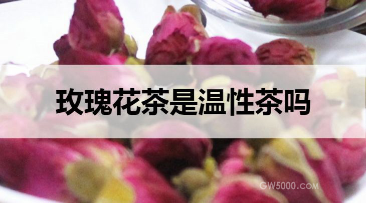 玫瑰花茶是温性茶吗？