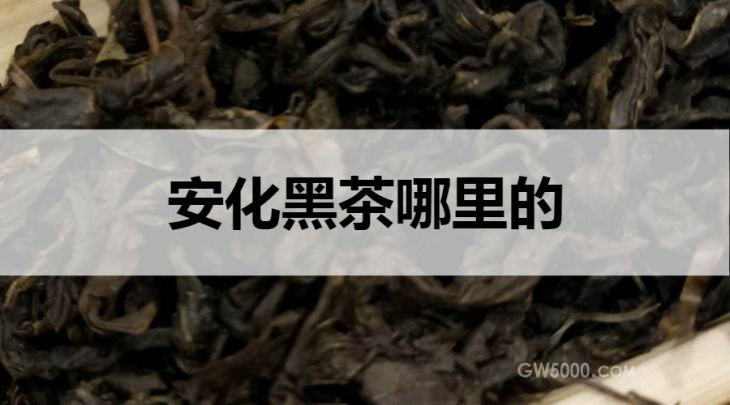 安化黑茶是哪里的？