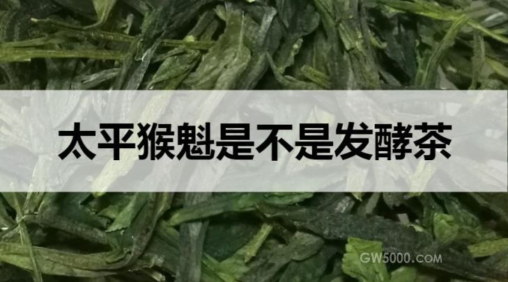 太平猴魁是不是发酵茶？