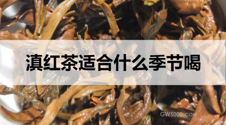 滇红茶适合什么季节饮用？