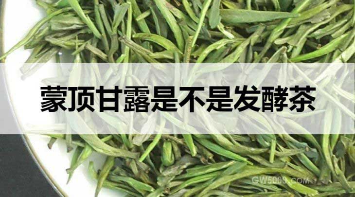 蒙顶甘露是不是发酵茶？