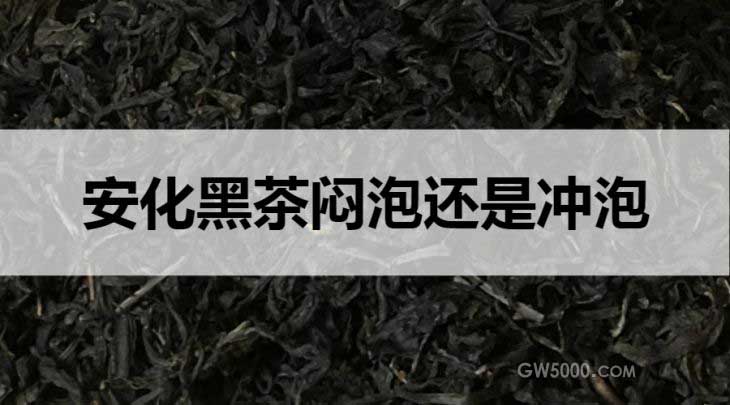 安化黑茶闷泡还是冲泡？