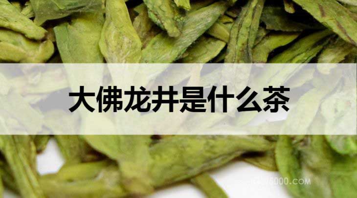 大佛龙井是什么茶？