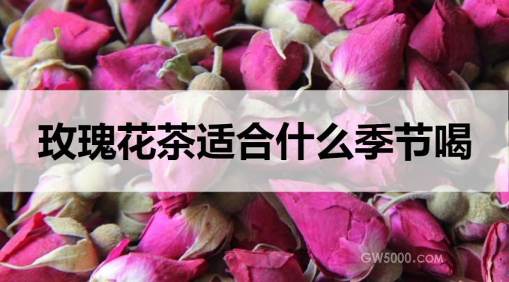 玫瑰花茶适合什么季节饮用？