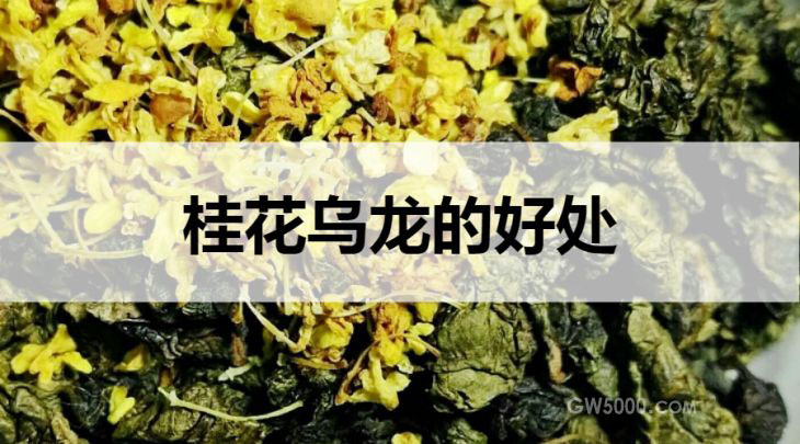 桂花乌龙茶的好处有哪些？