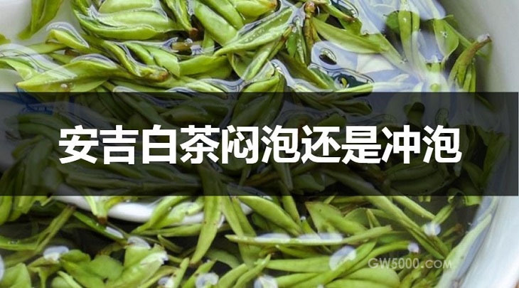 安吉白茶闷泡还是冲泡？