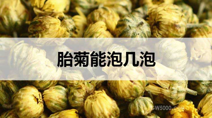 胎菊能泡几泡？