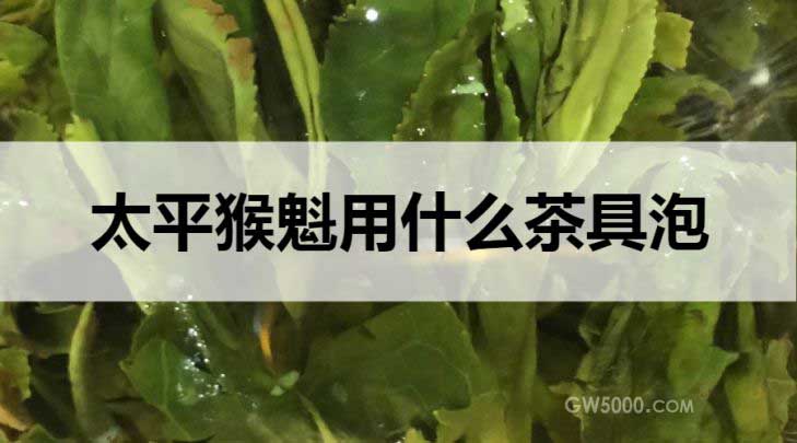 太平猴魁用什么茶具泡？