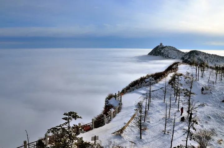 茶叶科普 | 峨眉雪芽