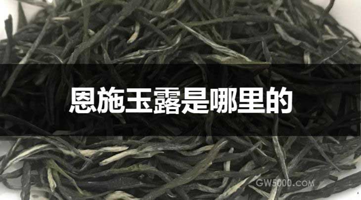 恩施玉露是哪里的？