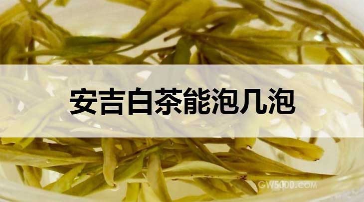 安吉白茶能泡几泡？