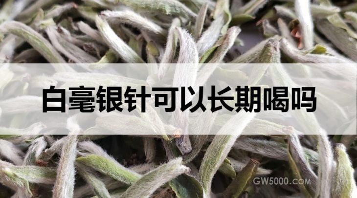 白毫银针可以长期喝吗？