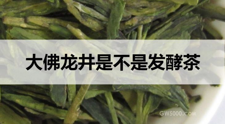 大佛龙井是不是发酵茶？