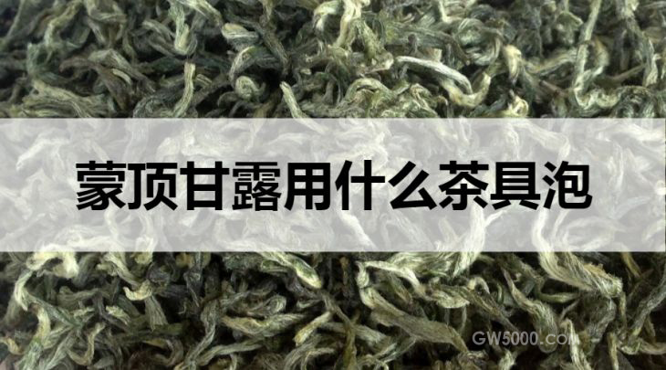 蒙顶甘露用什么茶具泡？