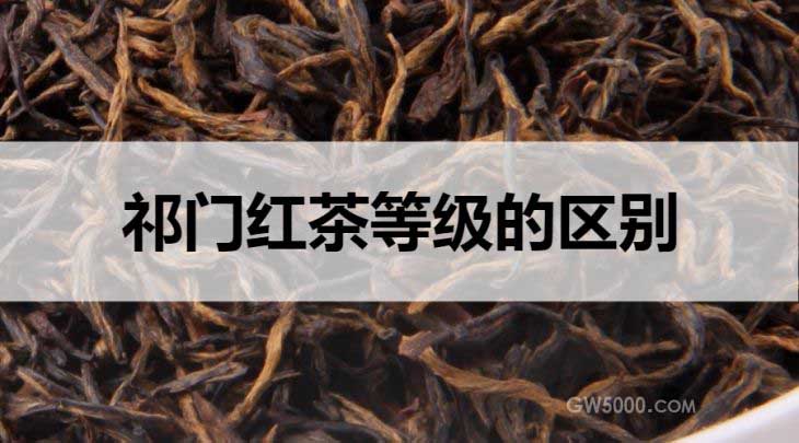 祁门红茶等级的区别