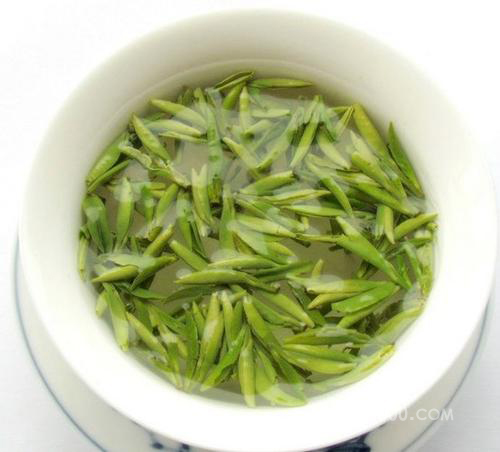 竹叶青茶多少钱一斤？竹叶青茶叶采购方法