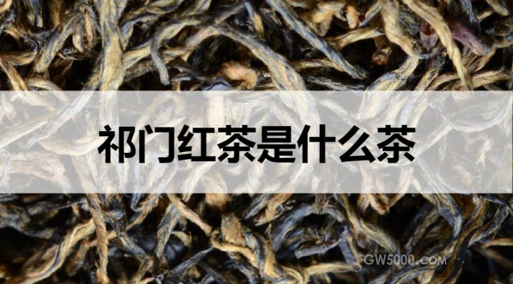 祁门红茶是什么茶？